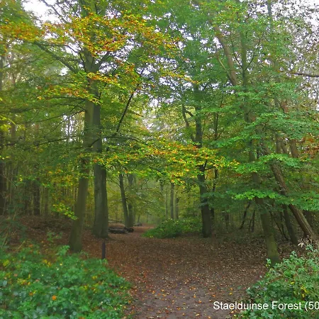 Dutchduochalet2 ス・グラーヴェンザンデ