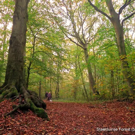 Chalet Dutchduochalet2 *