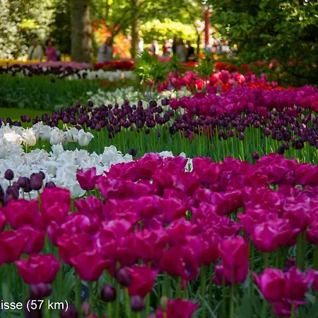 Dutchduochalet2 別荘