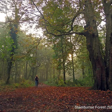 別荘 Dutchduochalet2 ス・グラーヴェンザンデ