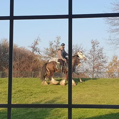 Dutchduochalet2 Chalet