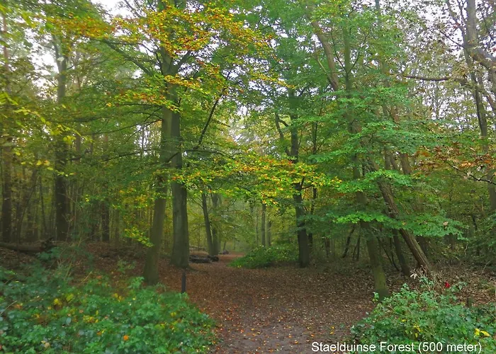 Dutchduochalet2 s-Gravenzande