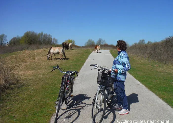 別荘 Dutchduochalet2 ス・グラーヴェンザンデ