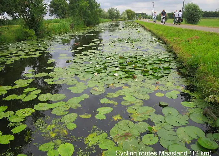 別荘 Dutchduochalet2 ス・グラーヴェンザンデ