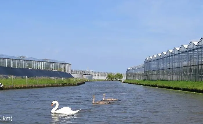 別荘 Dutchduochalet2