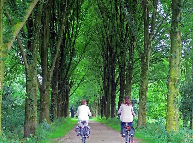 Vakantiehuis Dutchduochalet2