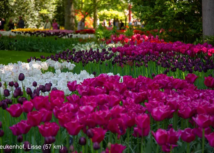 Dutchduochalet2 別荘