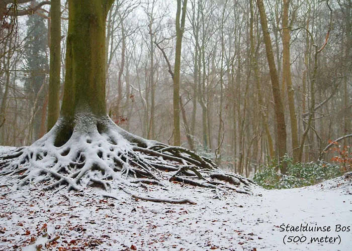 別荘 Dutchduochalet2 *