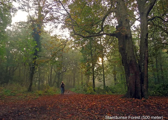 別荘 Dutchduochalet2 ス・グラーヴェンザンデ