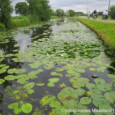Dağ evi Dutchduochalet2 s-Gravenzande