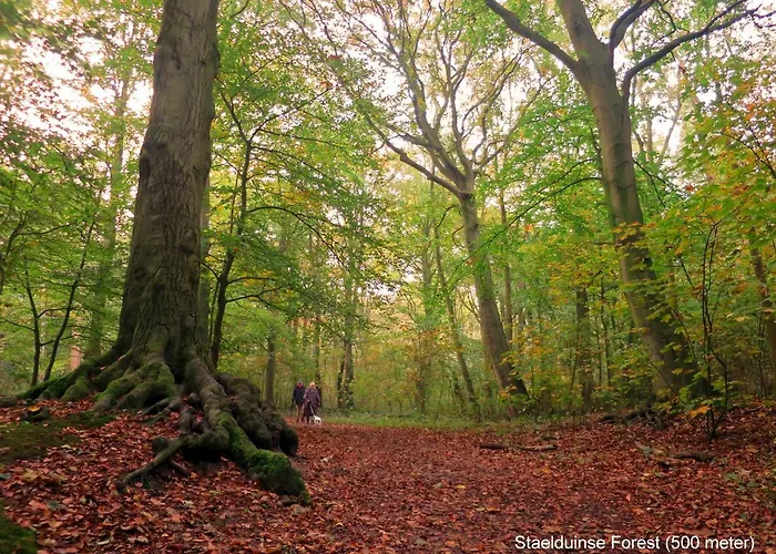 Tatil Evi Dutchduochalet2 *