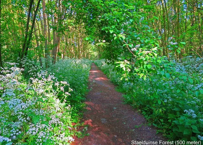 Dutchduochalet2 Tatil Evi