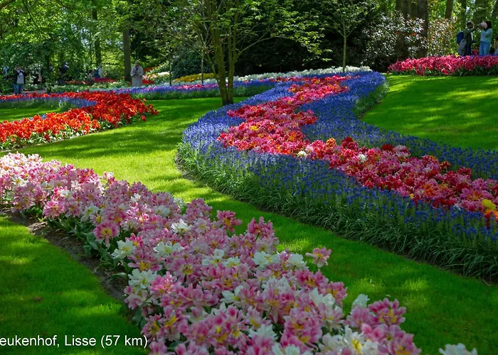 Tatil Evi Dutchduochalet2