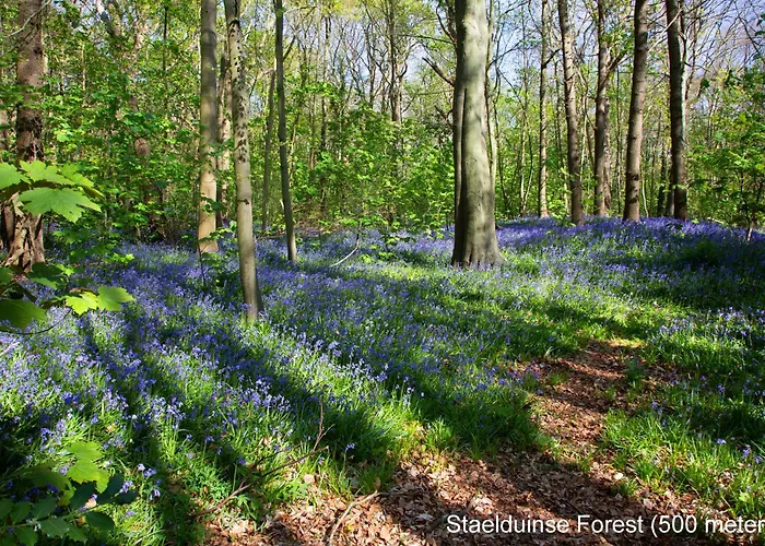 Dutchduochalet2 Tatil Evi s-Gravenzande