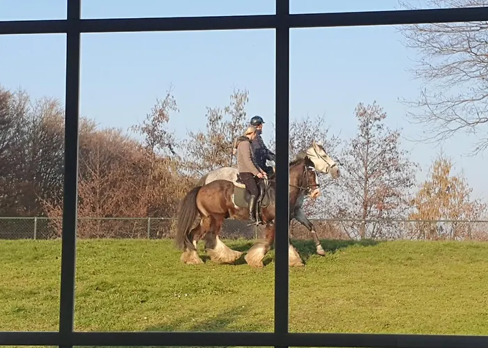 Dutchduochalet2 Tatil Evi